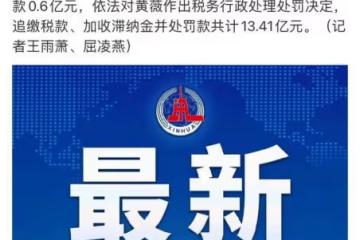 薇婭逃稅被罰13億!調查期間還正常直播,帶貨生涯中假貨事件頻發