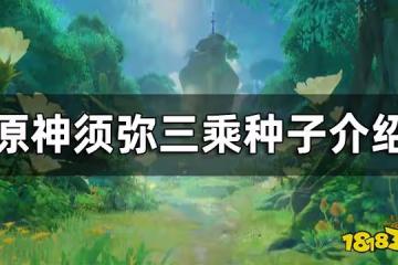 原神須彌三乘種子介紹 須彌三乘種子是什麼
