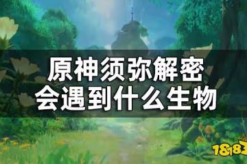 原神須彌新生物介紹 須彌解密會遇到什麼生物