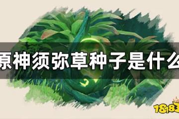 原神須彌草種子介紹 須彌草種子是什麼