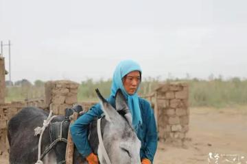 劇情片簡析《隱入塵煙》