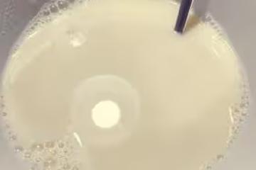 生豆豆漿（攪拌機版）