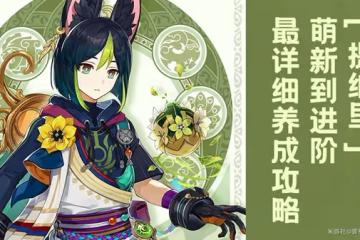 《原神》3.0提納里全面培養指南