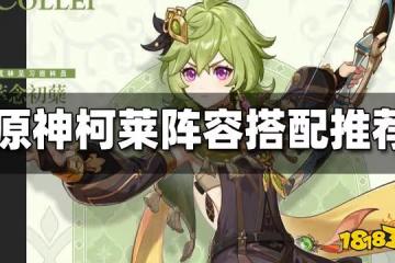 原神柯萊陣容搭配推薦 柯萊陣容搭配一覽