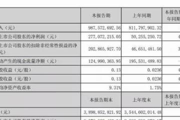 愷英網絡2022年上半年財報：營收9.88億元，增長21.65%