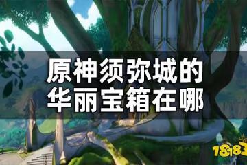 原神須彌城華麗寶箱位置 須彌城的華麗寶箱在哪