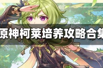 原神柯萊培養攻略合集 柯萊武器聖遺物配隊攻略大全