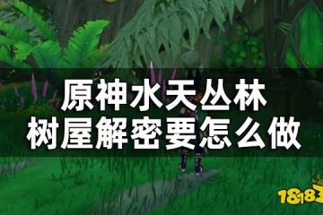 原神水天叢林華麗寶箱獲取方式 水天叢林樹屋解密要怎麼做