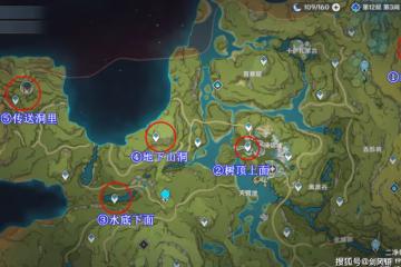 原神:須彌傳送點開啟攻略,山洞、水底、草雞和雷樹