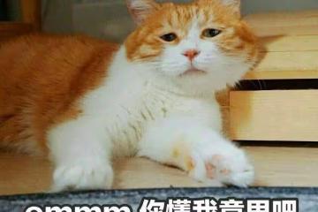 台圈還有幾個好男人？男星接連翻車，出軌成性道德感低原因為何？