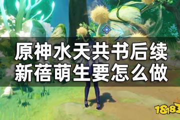原神水天共書後續隱藏任務攻略 水天共書後續新蓓萌生要怎麼做