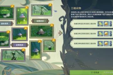《原神》掠影拾真第二關三相眾物拍攝攻略