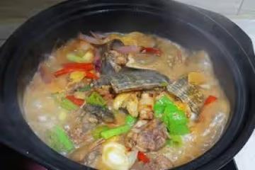 零失敗的紅燒甲魚