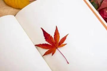 幸運之人,或許都有三分糊塗傻