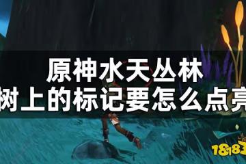 原神水天叢林7個印記解密方法 水天叢林樹上的標記要怎麼點亮