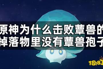 原神蕈獸孢子怎麼獲得 為什麼擊敗蕈獸的掉落物里沒有蕈獸孢子