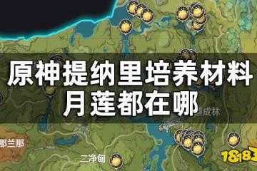 原神月蓮收集路線一覽 提納里培養材料月蓮都在哪