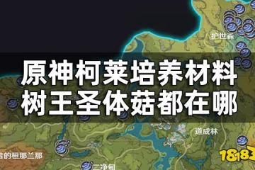 原神樹王聖體菇收集路線一覽 柯萊培養材料樹王聖體菇都在哪