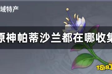 原神帕蒂沙蘭效率收集路線一覽 帕蒂沙蘭都在哪收集