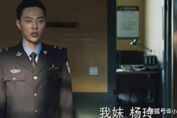 《冰雨火》楊玲和林局之間是什麼關係?楊玲為什麼有兩個爹?