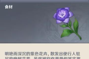 《原神》須彌植物用途介紹