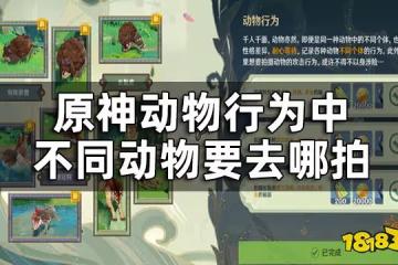 原神動物行為拍攝攻略一覽 動物行為中不同動物要去哪拍