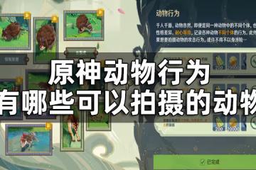 原神動物行為中不同動物拍攝地點 動物行為有哪些可以拍攝的動物