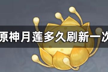 原神月蓮刷新時間介紹 月蓮多久刷新一次
