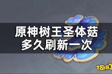 原神樹王聖體菇刷新時間 樹王聖體菇多久刷新一次