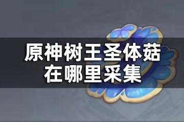 原神樹王聖體菇位置一覽 樹王聖體菇在哪裡採集