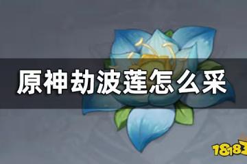 原神劫波蓮位置地點及路線一覽 劫波蓮怎麼采