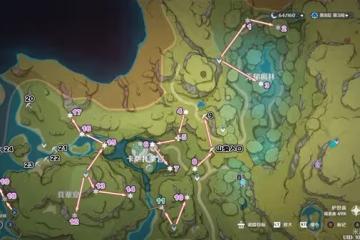 《原神》須彌摩拉石堆收集路線分享