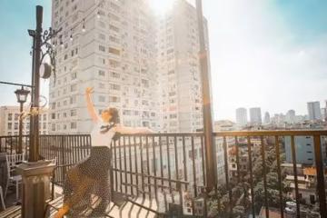 不能生孩子的女人就像不下蛋的雞,沒有用:婆婆逼兒媳離婚遭怒懟