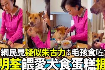 75歲無兒無女太心酸，汪明荃把狗狗當孩子，卻因誤解被網暴！