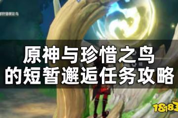 原神與珍惜之鳥的短暫邂逅任務攻略 與珍惜之鳥的短暫邂逅怎麼觸發
