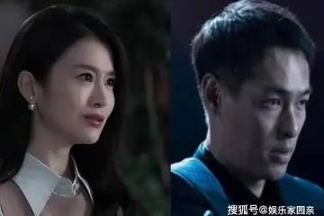 《罰罪》嚴國華是什麼身份?紀念的真實身份是什麼?結局如何