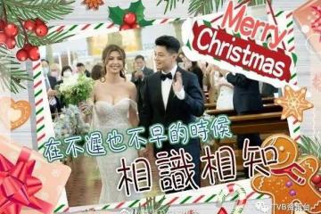 聖誕前嫁人︱張秀文聖誕凌晨重溫婚照有助造人？
