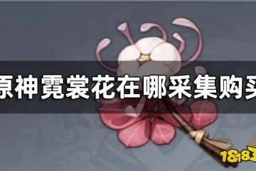 原神霓裳花分布圖一覽 霓裳花在哪採集購買