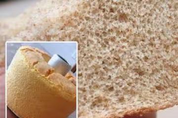 原味、黑麥8寸戚風蛋糕