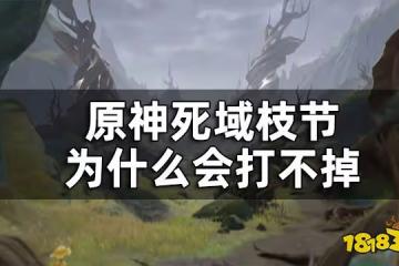 原神死域枝節打不掉怎麼辦 死域枝節為什麼會打不掉