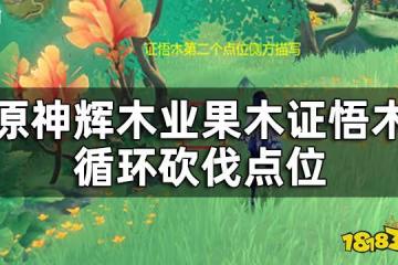 原神王樹的瑞佑最佳使用點位 輝木業果木證悟木循環砍伐點位