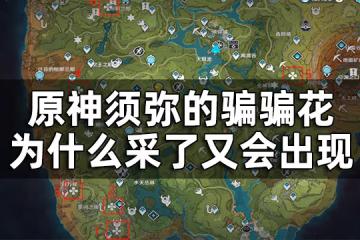 原神須彌騙騙花觸發寶箱位置一覽 須彌的騙騙花為什麼采了又會出現