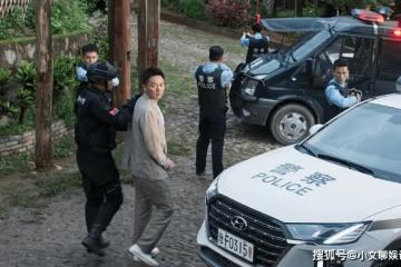 《冰雨火》大結局:楊熠還是死在了楊興權的手上!