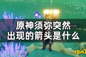 原神須彌三箭頭指引的華麗寶箱獲取方法攻略 須彌突然出現的箭頭是什麼