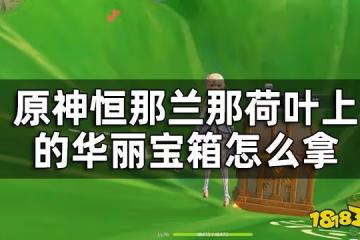 原神恆那蘭那2個華麗寶箱獲取攻略 恆那蘭那荷葉上的華麗寶箱怎麼拿