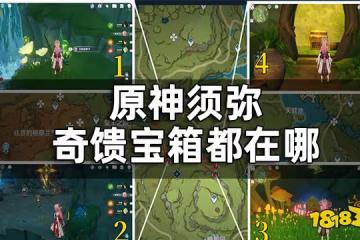 原神須彌奇饋寶箱全收集 須彌奇饋寶箱都在哪