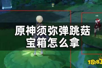 原神須彌三個彈跳菇隱藏寶箱收集攻略 須彌彈跳菇寶箱怎麼拿