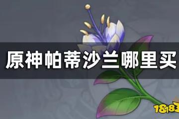 原神帕蒂沙蘭購買位置 帕蒂沙蘭哪裡買
