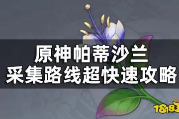 原神帕蒂沙蘭位置一覽 帕蒂沙蘭採集路線超快速攻略
