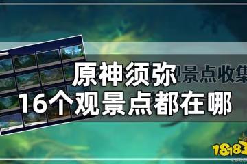原神須彌16個觀景點位置一覽 須彌觀景點都在哪